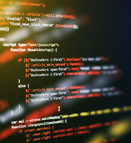 custom development services choose us