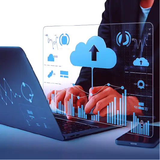 fuel monitoring system